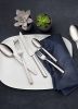 Villeroy & Boch Louis Bestekcassette 68 delig online kopen